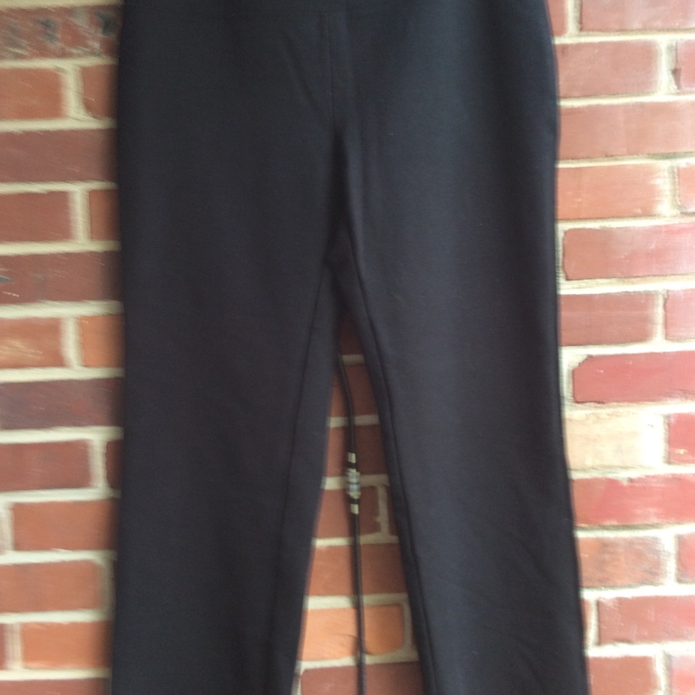 Soft Surroundings Stretch Pants - image 4